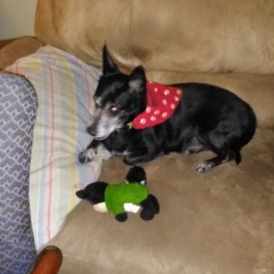 Meet your Posher, Jim